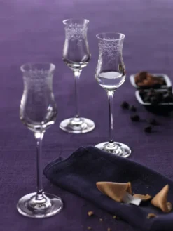 LEONARDO Grappaglas CHATEAU 6er-Set 90 Ml, 061594 -Optimal Weinglas Geschäft d62d69db69fbfe08c56a15b7b8bfc79d